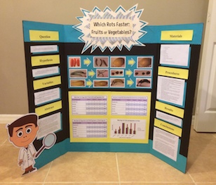 Middle school science project display